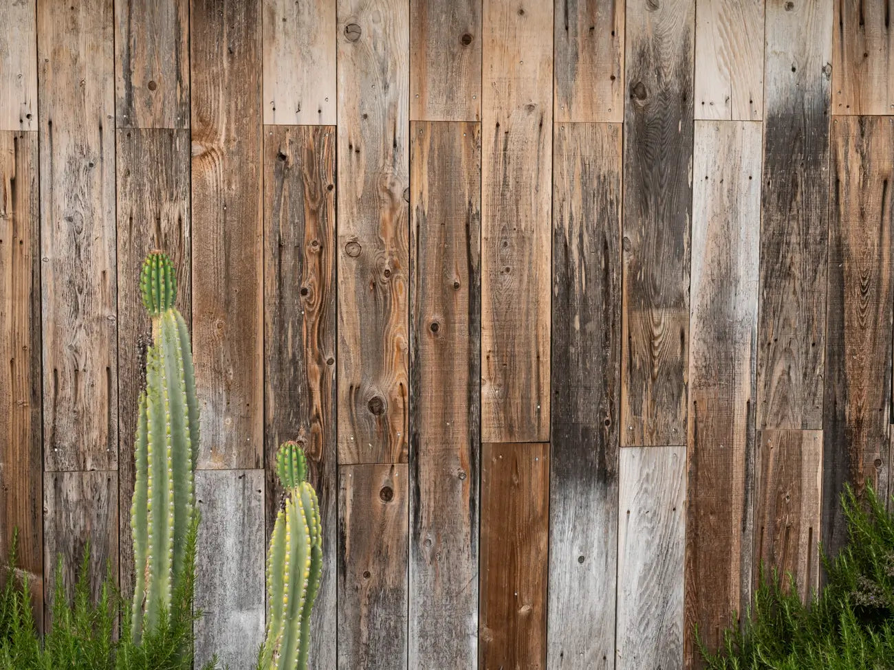 Rustic Reclaimed Redwood Barnwood with landscaping