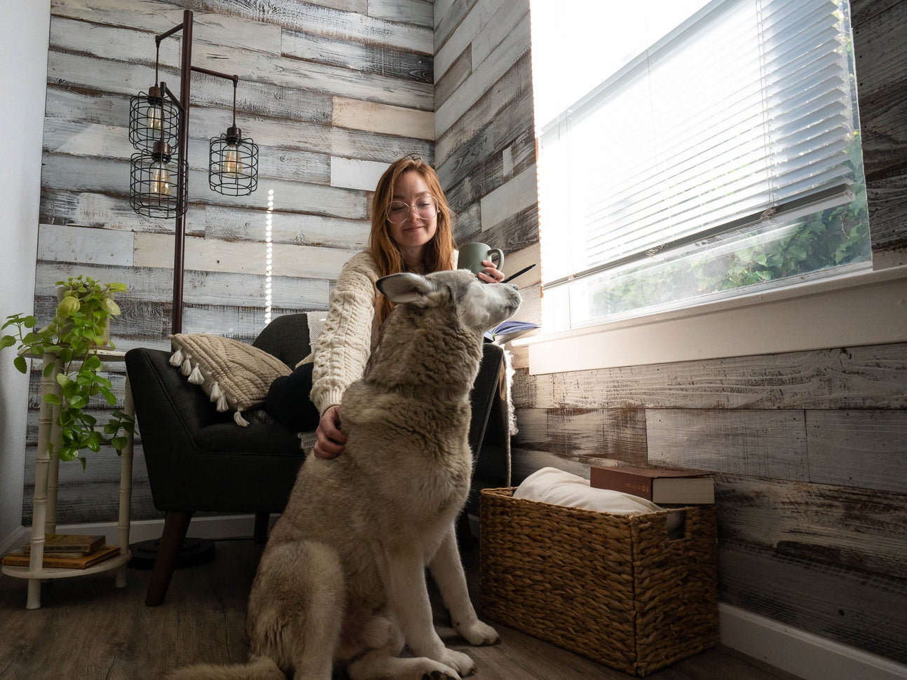 Whitewash Shiplap Reclaimed Barn Wood Planks for Accent Wall Paneling, Classy Redwood Siding, White Painted Finish, Vintage Rustic Chic Look