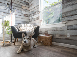 Whitewash Tongue & Groove Reclaimed Barn Wood Planks for Accent Wall Paneling, Interlocking Seamless Redwood Siding, White Painted Cladding