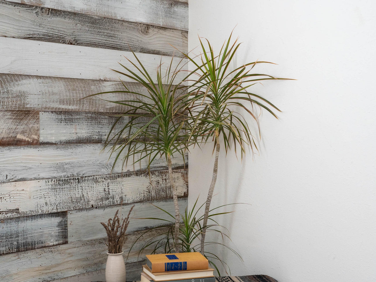 Whitewashed Surfaced Reclaimed Barn Wood Planks for Accent Wall Paneling, Thin Squared Cut Redwood Siding, Premium S3S White Painted Boards